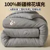 Colcha de Algodón 100% de Xinjiang Clase A Colcha Pura de Algodón para Primavera y Otoño Colcha Gruesa Cálida de Invierno Núcleo de Colcha 100% Algodón Colcha de Algodón para Dormitorio de Estudiantes 4