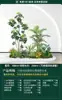 Set de Paisajismo Simulado para Exhibidores de Ventanas Interiores, Decoración de Escaleras, Paisaje de Plantas Verdes Simuladas, Arreglo de Jardín, Adornos de Decoración de Plantas en Maceta