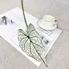 Planta Verde de Novo Produto Transfronteiriço Folha de Calla Folha de Begônia Folha de Taro Colorida Planta Guia de Corredor de Casamento Parede de Plantas Design Floral DIY