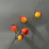 2 cabeças de caqui 2 cabeças de romã frutas vermelhas flor anual ornamentos de frutas ricas ornamentos decorativos de frutas arranjo de flores de espuma flor artificial