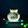 Cápsula del Tiempo Papelería Anillo de Hierro Tiempo Carta de Amor Confesión Papelería Botella Estrella Origami Botella de Vidrio Regalo Día de San Valentín Chino