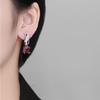 Comercio Electrónico Transfronterizo Más Vendidos Lujo Accesible de Gama Alta Pendientes Cuadrados Largos de Zirconia Pendientes Hebillas de Oreja Británicas Accesorios Europeos y Americanos