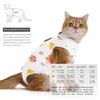 Ropa de esterilización para gatos más vendida transfronteriza, ropa postoperatoria anti-lameduras cómoda y transpirable, ropa para destete de gatas, venta al por mayor de ropa de esterilización para mascotas