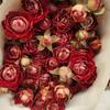 Rosa de flor seca de Yunnan rosa de cabeza múltiple rosa burbuja ramo de flor seca muebles de sala de estar accesorios de fotografía multicolor flores reales al por mayor