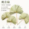 En Stock Mini Abanico de Guanyin Hoja de Palma Pequeña/Hoja de Abanico Estilo Wabi-Sabi Adorno de Decoración para el Hogar Boda Flor Seca