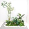 Paisajismo de Plantas Verdes Paisajismo de Balcones Decoración de Plantas Artificiales para Interiores y Exteriores Planta Viajera Plátano Espalda de Tortuga Planta Debajo de las Escaleras Paisajismo