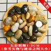 Guijarros, Piedras de Gota de Lluvia, Piedras en Bruto para Paisajismo de Acuarios, Flores de Cultivo en Agua, Piedras Pequeñas para Macetas, Decoraciones para Plantas en Maceta, Piedras de Colores al por Mayor
