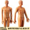 Modelo de cuerpo humano de hombre y mujer con meridianos súper claros de 50 cm, modelo de meridiano de cuerpo humano, modelo de punto de acupuntura de bronce de medicina china