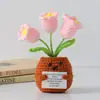 Flor de Tricô de Energia Positiva Transfronteiriça Planta em Vaso Produto Acabado Fio de Lã Flor de Simulação Ornamento de Mesa Boneca de Cartão de Mão