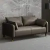 Sofá Pequeno para Apartamento Pequeno em Tecido Tecnológico Estilo Italiano Sem Lavagem, Sofá de Couro Simples para Aluguel de Sala de Estar, Sofá Pequeno de Dois e Três Lugares