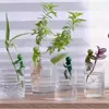 Herramienta de Fijación para Plantas Hidropónicas, Compañero para Dar Forma al Crecimiento y Evitar que se Caigan, Soporte para Ramas, Decoración de Escritorio de Oficina, Fijador de Jardinería
