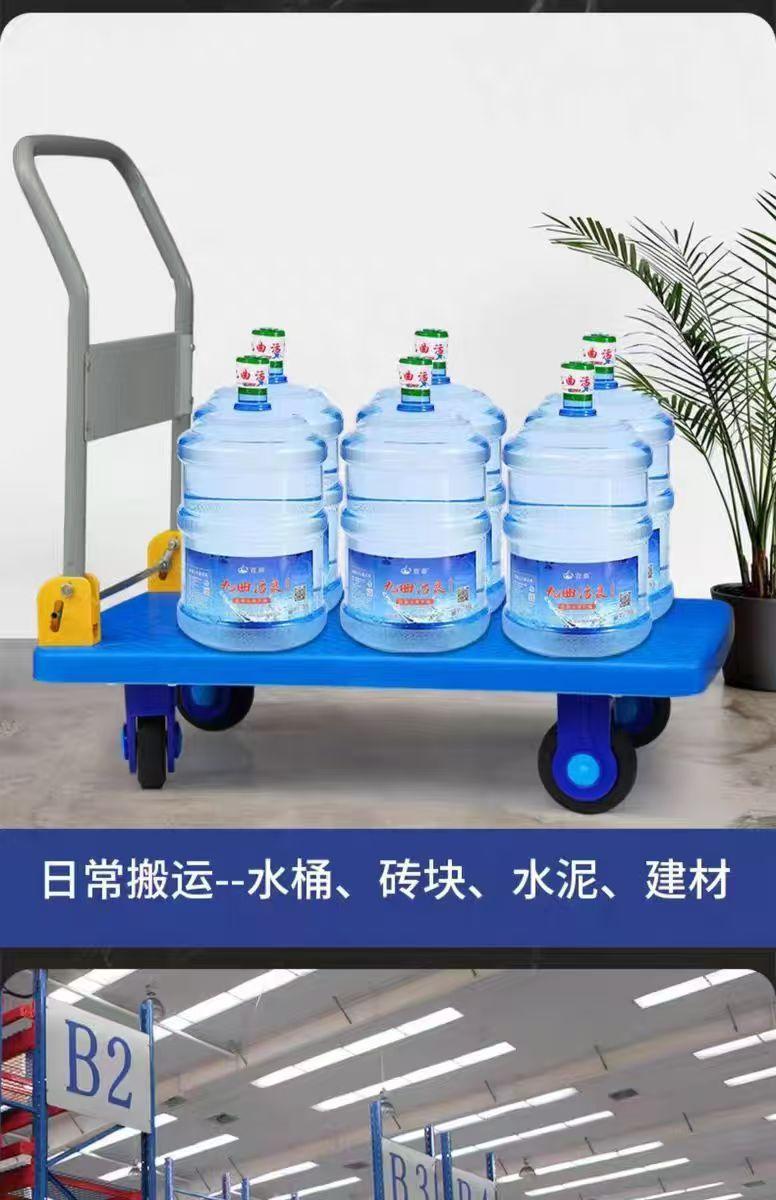 微信图片_20241203154737