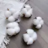 Paquete de materiales DIY hecho a mano flores mixtas plantas flores secas estilo bosque de jardín de infantes creación de anillos decoración piñas de Navidad