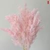 Fábrica de flores eternas esponjosas, venta al por mayor, ramo de flores secas esponjosas, accesorios de decoración para bodas y el hogar.