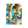 A nova pintura de diamante DIY 5D diamante completo placa completa diamante redondo diamante quadrado pintura de diamante de pássaro 5D pintura decorativa uma variedade opcional