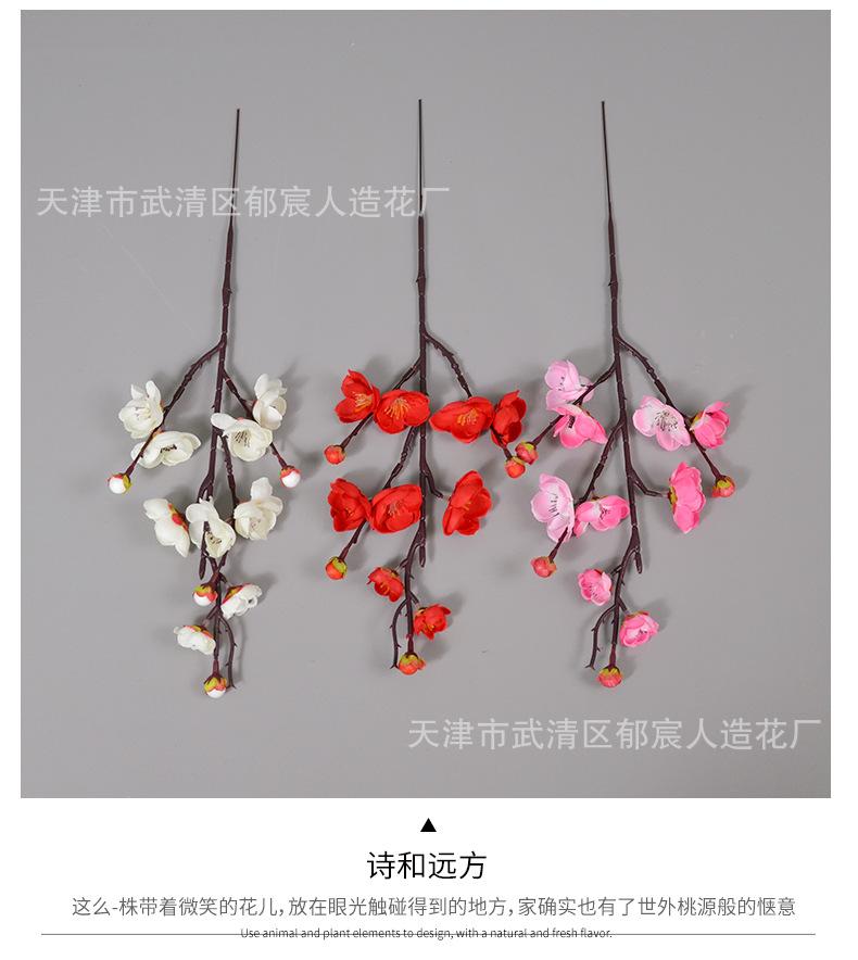 详情_05.png