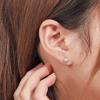 Pendientes de plata de ley S925 Damila, versátiles, sencillos, con cuentas redondas pequeñas, para piercing, pendientes tipo gorro, joyería para mujer, venta al por mayor