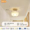 Luz de Pasillo Estilo Crema, Lámpara de Techo Simple Moderna, Luz Cálida y Romántica para Entrada de Pasillo Balcón, Lámparas de Techo Modelo Nuevo 2026