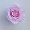 Cabeça de flor rosa Anna flor rosa flor de alta qualidade decoração de parede de flor flor falsa direto da fábrica flor flor de simulação