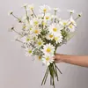 Atacado do Fabricante 5 Crisântemo Holandês Margarida Artificial Flor Cosmos Artificial Decoração de Casa Camomila Artificial
