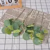 Decoración Artificial de Planta DIY de Eucalipto Artificial con Esquejes de Frutas, Ramas Cortas de Hojas de Dinero y Hojas Transfronteriza de Amazon