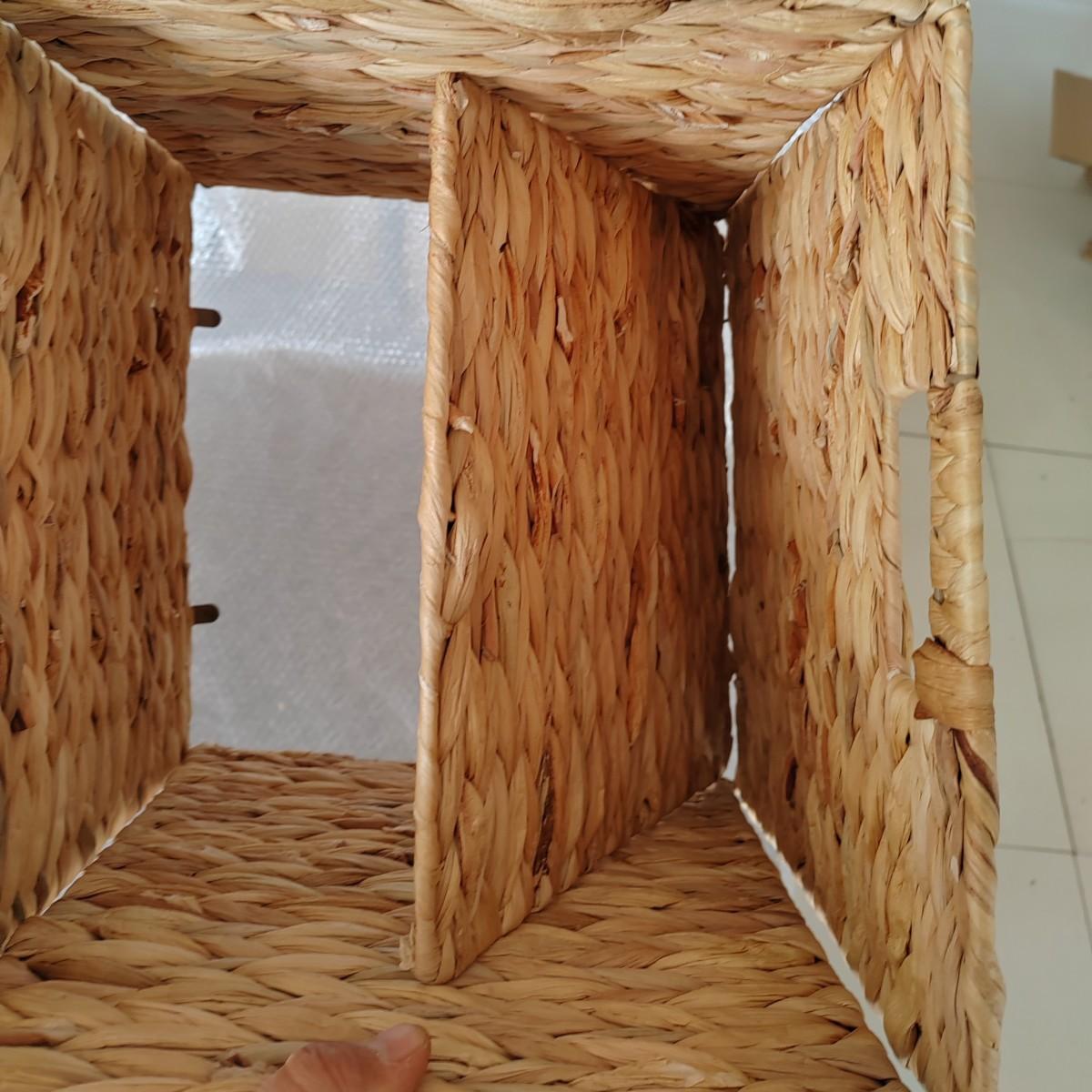 IMG_20241201_120218_副本_副本