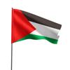 Bandeira Palestina, Bandeiras de Vários Países, Bandeira de Exterior, Bandeira de Acenar à Mão, Bandeira de Corda, Bandeira de Mesa, Bandeira Pequena, Bandeira Colorida, Bandeira de Faca