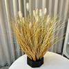 Simulação Reed Artificial Reed Grass Atacado Planta Falsa Shopping Decoração para Casa Cebola Dog Tail Grass Simulação Planta Verde