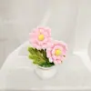 Producto Terminado Más Vendido Transfronterizo: Linda Planta en Maceta de Flor de Cerezo y Crisantemo, Regalo para el Día del Maestro, Regalo para el Día de la Madre, Regalo de Decoración para el Hogar
