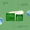Jaysuing Crema para el Cuidado de los Pies con Aceite de Árbol de Té Extractos de Plantas Nutre y Refresca los Pies, Cuidado de la Piel No Pegajoso