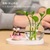 Boa Sorte Lótus Estilo Buda Animal de Estimação Fofo Rabanete Verde Vaso para Planta Hidropônica Recipiente Hidropônico Caseiro Estação de Trabalho Ornamento Decorativo Recipiente para Flores
