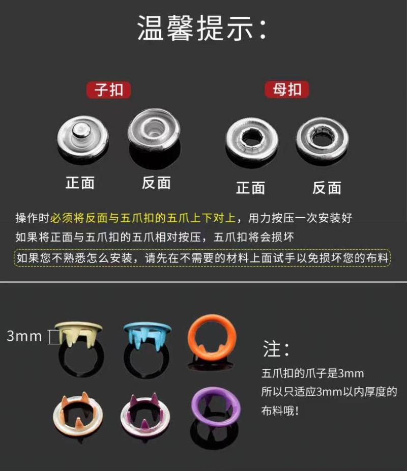 详情9
