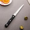 Cuchillo de carne dentado de acero inoxidable de la fábrica de Yangjiang, estilo nórdico, estilo occidental, cuchillo para verduras y frutas, cuchillo de carne para acampar para el hogar, venta al por mayor