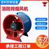 Ventilador Axial de Exaustão de Alta Potência, à Prova de Explosão, Baixo Ruído e Alta Temperatura para Garagens Subterrâneas