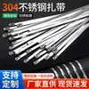 Abrazaderas de Acero Inoxidable 304, Correas de Sujeción de Cables, Correas de Acero con Hebilla, Tipo Resistente al Fuego, Acero Inoxidable 304