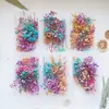 Kit de Materiales de Flores Secas DIY Flor Eterna, Flores Flotantes Perfumadas, Materiales de Flores para Actividad Padres e Hijos, Venta al por Mayor Fabricante de Yunnan, Día de la Madre