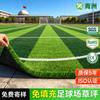 Qingzhou Campo de Fútbol de Césped Césped Artificial Césped de Fútbol Césped Artificial Césped Falso Estadio Cubierto Exterior Área Exterior