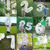Decoración Digital de Globos para Cumpleaños, Escenario para Niñas, Niños y Fiestas de 2º Cumpleaños, Accesorios para Fotos