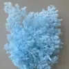 Suministro Directo de Floristería Materiales para Decoración de Bodas, Accesorios para Cajas de Regalo de Pino Eterno, Regalos Festivos, Cedro al por Mayor
