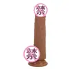 Baile Patila Dildo Artificial para Masturbación Femenina Transfronterizo Aliexpress Bw-008165 Pene Masculino