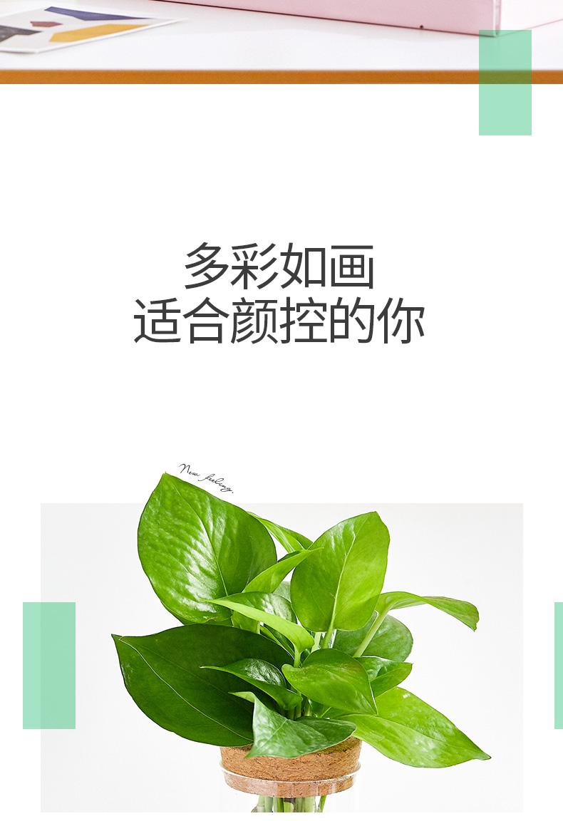 水培详情页_04.jpg
