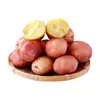 Patatas rojas de piel, amarillas por dentro, frescas de Yunnan, recién cosechadas 10/ 1.5kg semillas de patata pequeñas, patatas cultivadas en granja, venta al por mayor