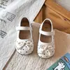 Zapatos para niñas, zapatos de princesa para niños, nueva colección otoño 2026, zapatos de piel de lunares dulces y elegantes, zapatos Mary Jane, bailarinas de estilo francés