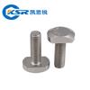 Pernos Empotrados de Acero Inoxidable 304 Tornillos Ranura en T Tornillos de Placa de Presión M6M8M10M12M16M20Gb37