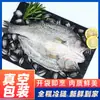 Filete de Lubina Fresco Congelado Vivo Pez de Profundidad Bai Jiao Lubina de Siete Estrellas Mariscos Pescado a la Parrilla Semiacabado Comercial