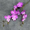 Simulação 10 Cabeças Filme 3D Pássaro Orquídea Casamento Decoração de Casa Arranjo Adereços de Foto Ornamentos de Flores Artificiais Atacado