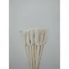Brochetas populares para snacks en línea, brochetas comerciales, brochetas fritas, productos semielaborados, brochetas picantes revolucionarias, brochetas para olla caliente, brochetas de res picantes