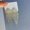 Aretes colgantes simples de plata 925 con micro incrustaciones de circonitas y borlas, estilo exagerado europeo y americano, temperamento, aretes de celebridad de Internet de Corea del Sur para mujer, venta al por mayor
