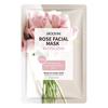 MOOYAM mascarilla hidratante de aguacate y rosa mascarilla limpiadora de fruta de jengibre venta al por mayor de puntos