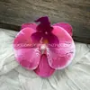 Cabeça de Flor de Orquídea Phalaenopsis Artificial, Textura de Película Impressa em 3D, Buquê Exquisito para Decoração de Casamento e Lembrança